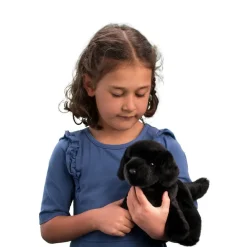 Dogs<Douglas Toys Bear Black Lab
