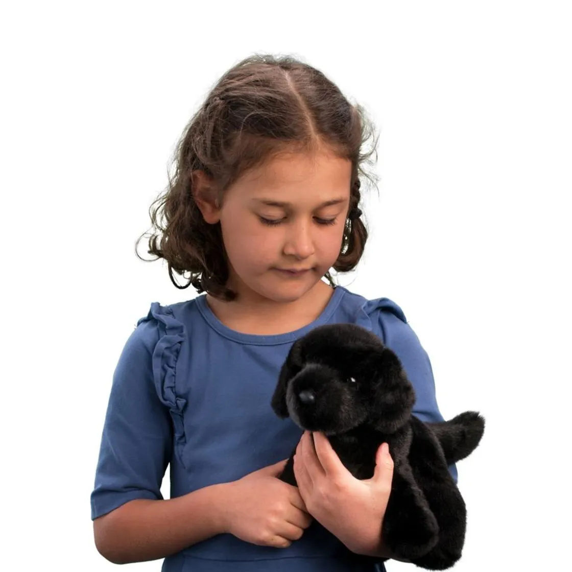 Dogs<Douglas Toys Bear Black Lab