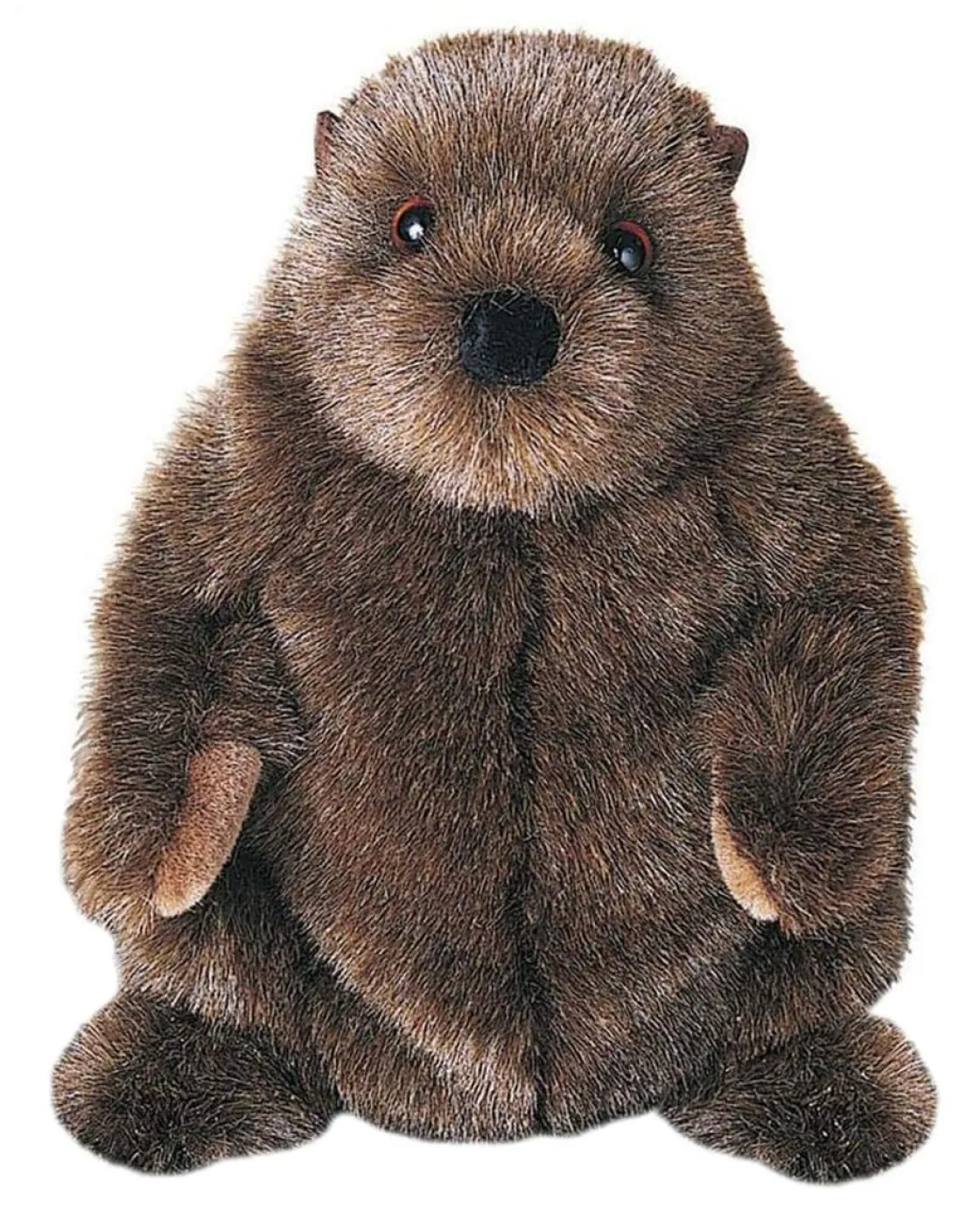 Wildlife<Douglas Toys Chuckwood Groundhog