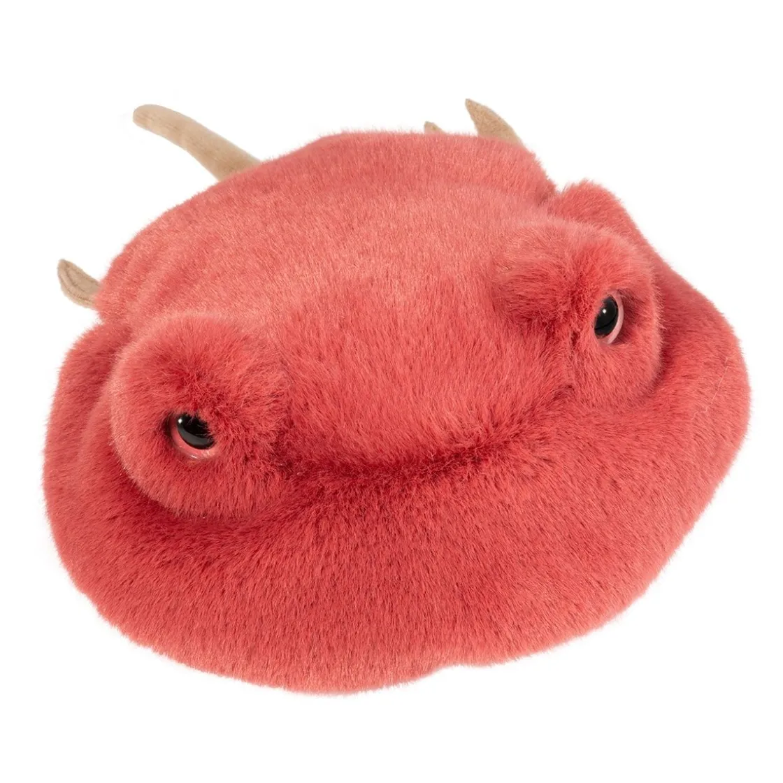 Sea Life<Douglas Toys Howie Horseshoe Crab