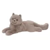 Cats<Douglas Toys Juliette Persian Cat