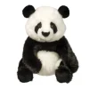 Jungle & Zoo<Douglas Toys Paya Panda