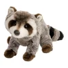 Wildlife<Douglas Toys Ringo Raccoon