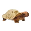 Sea Life<Douglas Toys Speedy Tortoise